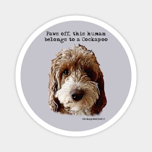 Cockapoo Dog Magnet